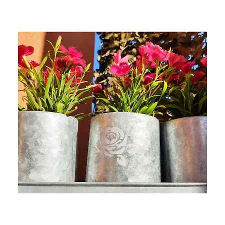 Cuccuruaio' Siamaggiore