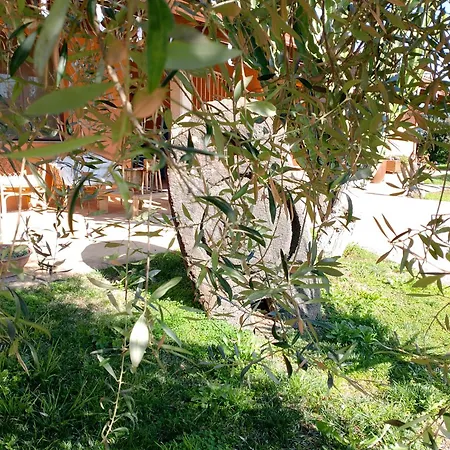 مزرعة للإقامة Cuccuruaio' *