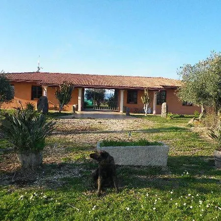 Cuccuruaio' 10 Minuti Da Torregrande * Siamaggiore