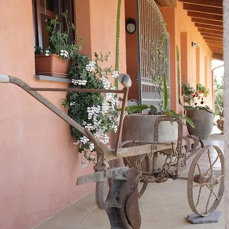 Farm stay Cuccuruaio'