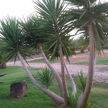 Cuccuruaio' Farm stay *