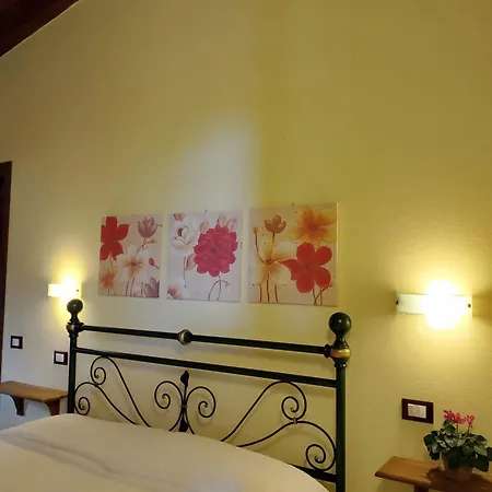 Lantgård Cuccuruaio' Siamaggiore