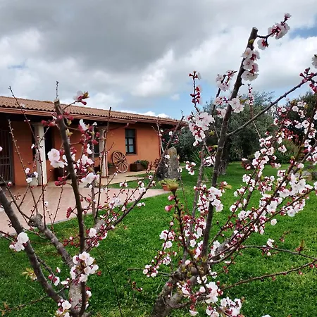 Séjour à la ferme Cuccuruaio' *