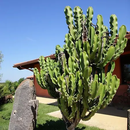 Cuccuruaio'
