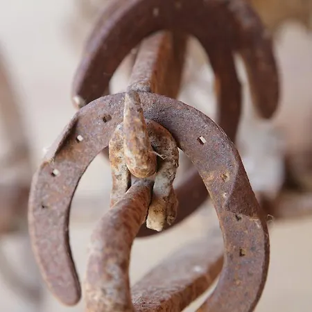 Lantgård Cuccuruaio' Siamaggiore