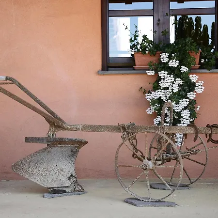 Cuccuruaio' * Siamaggiore